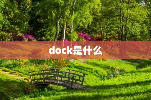 dock是什么