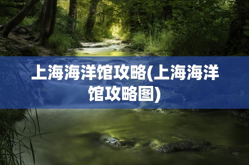 上海海洋馆攻略(上海海洋馆攻略图)