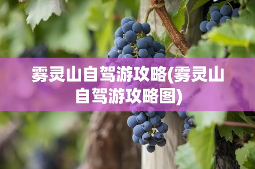 雾灵山自驾游攻略(雾灵山自驾游攻略图)