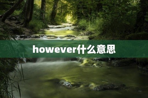 however什么意思