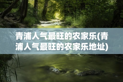 青浦人气最旺的农家乐(青浦人气最旺的农家乐地址)