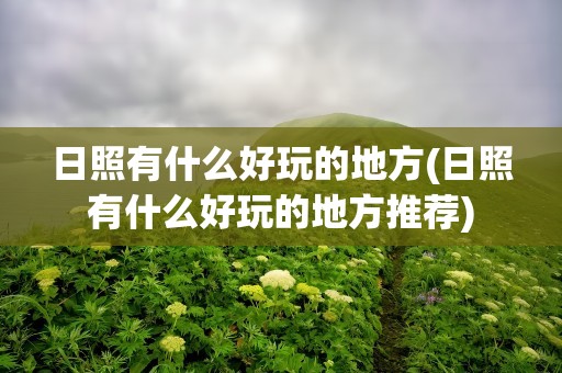 日照有什么好玩的地方(日照有什么好玩的地方推荐)