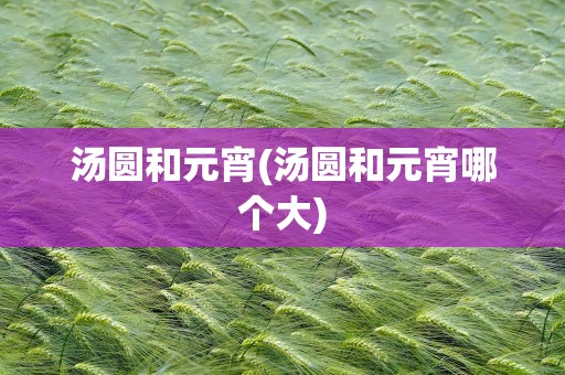 汤圆和元宵(汤圆和元宵哪个大)