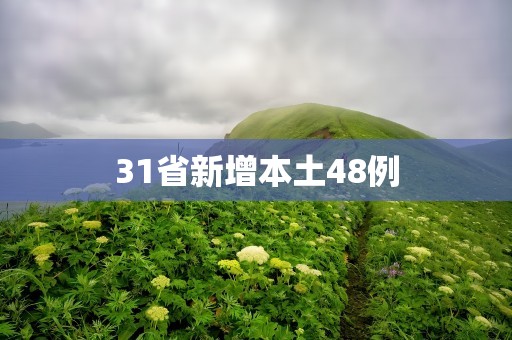 31省新增本土48例