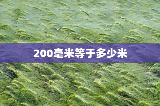 200毫米等于多少米