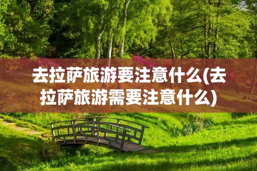 去拉萨旅游要注意什么(去拉萨旅游需要注意什么)