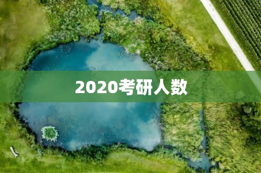 2020考研人数