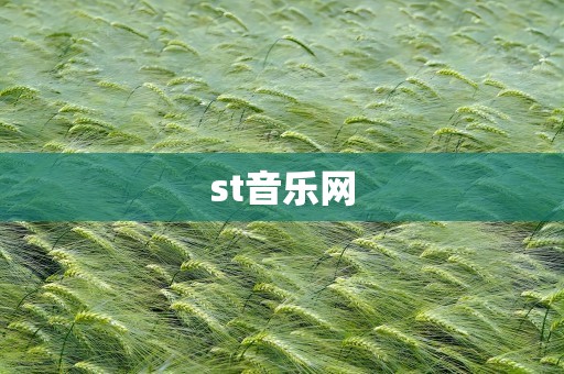st音乐网