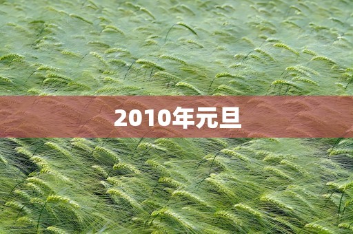 2010年元旦