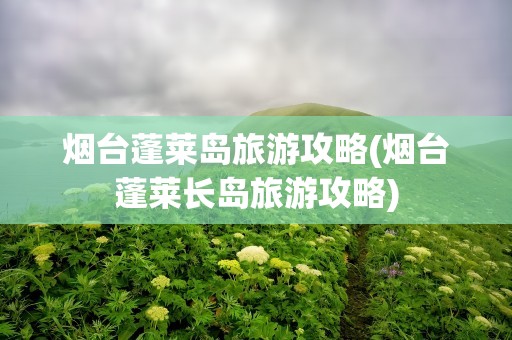 烟台蓬莱岛旅游攻略(烟台蓬莱长岛旅游攻略)