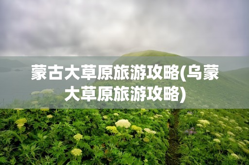 蒙古大草原旅游攻略(乌蒙大草原旅游攻略)
