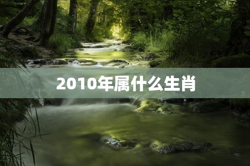 2010年属什么生肖