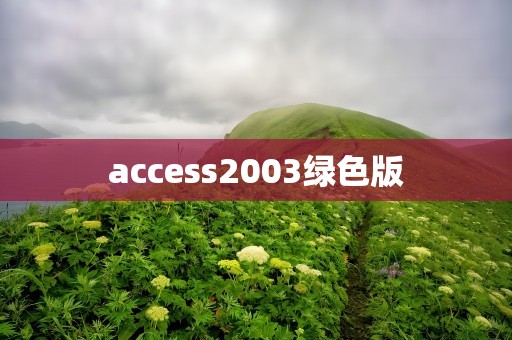 access2003绿色版