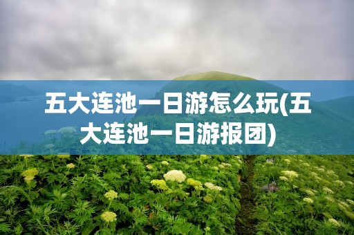 五大连池一日游怎么玩(五大连池一日游报团)