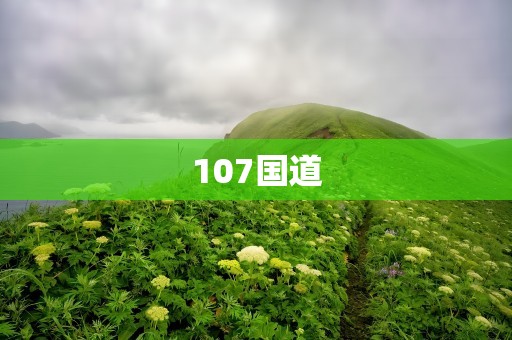 107国道