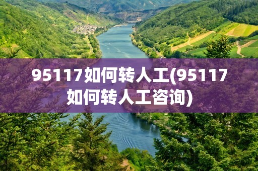 95117如何转人工(95117如何转人工咨询)