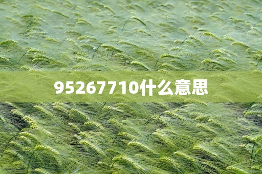 95267710什么意思