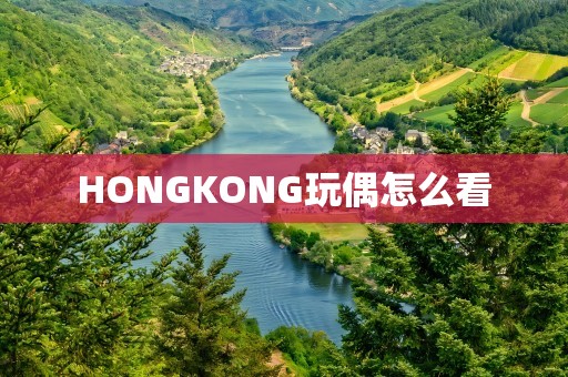 HONGKONG玩偶怎么看