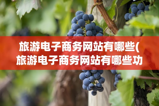 旅游电子商务网站有哪些(旅游电子商务网站有哪些功能)