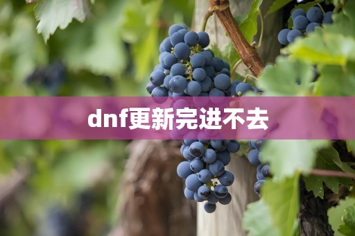 dnf更新完进不去