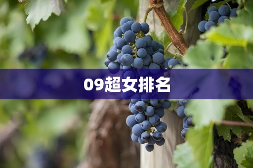 09超女排名