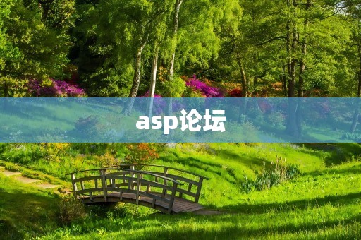 asp论坛