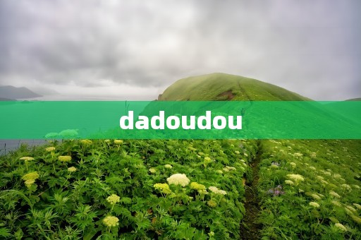 dadoudou