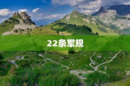 22条军规