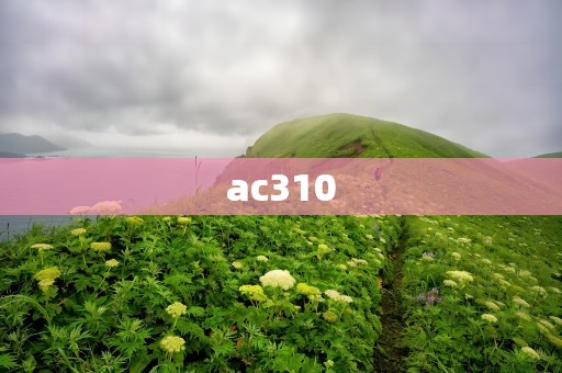 ac310