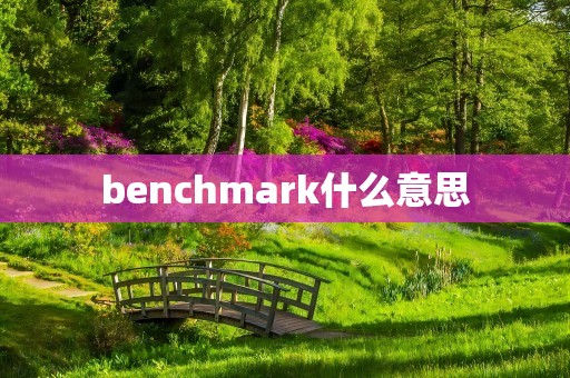 benchmark什么意思