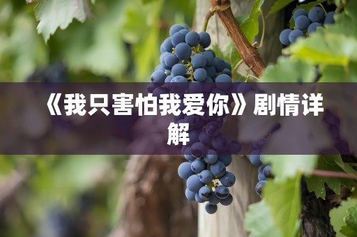 《我只害怕我爱你》剧情详解