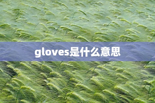 gloves是什么意思