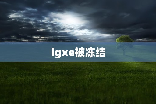 igxe被冻结
