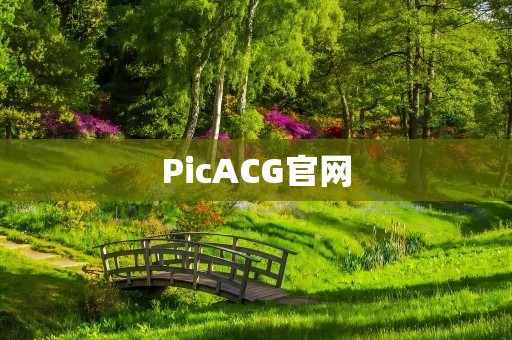 PicACG官网