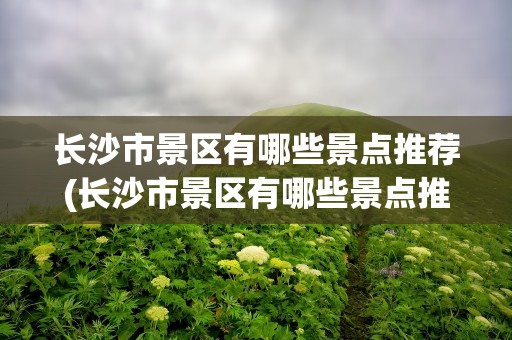 长沙市景区有哪些景点推荐(长沙市景区有哪些景点推荐一下)