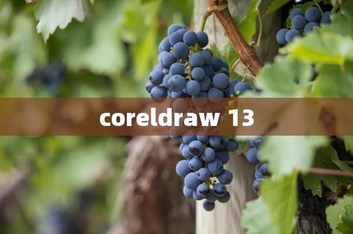 coreldraw 13