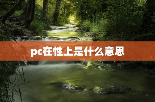 pc在性上是什么意思