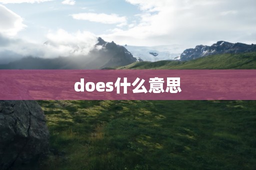does什么意思