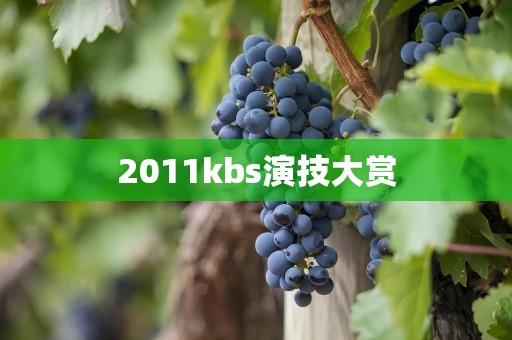 2011kbs演技大赏