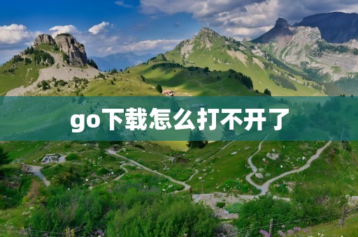 go下载怎么打不开了