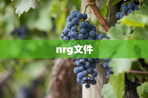 nrg文件