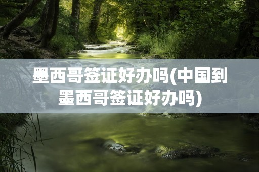 墨西哥签证好办吗(中国到墨西哥签证好办吗)