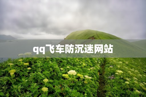 qq飞车防沉迷网站