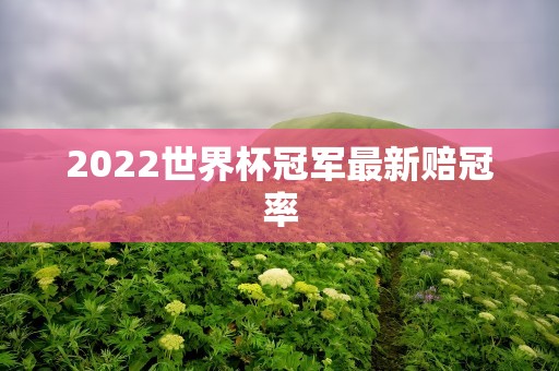 2022世界杯冠军最新赔冠率