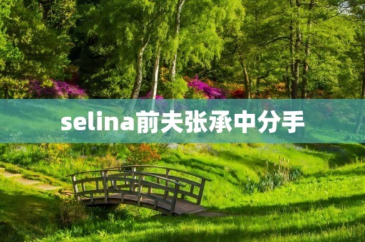 selina前夫张承中分手