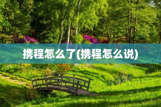 携程怎么了(携程怎么说)