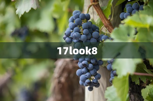 17look8
