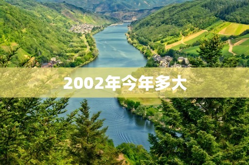 2002年今年多大