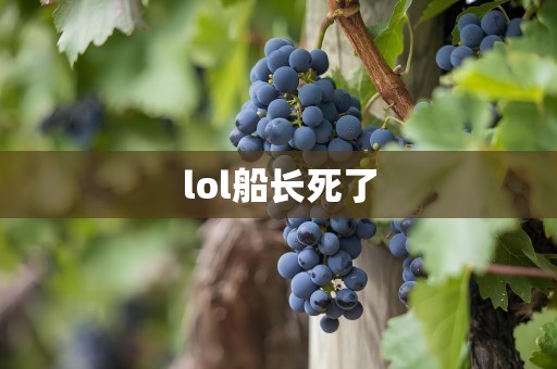 lol船长死了