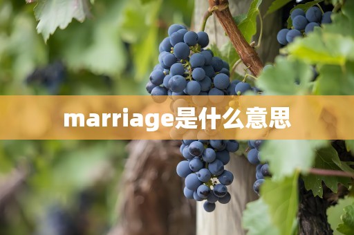 marriage是什么意思